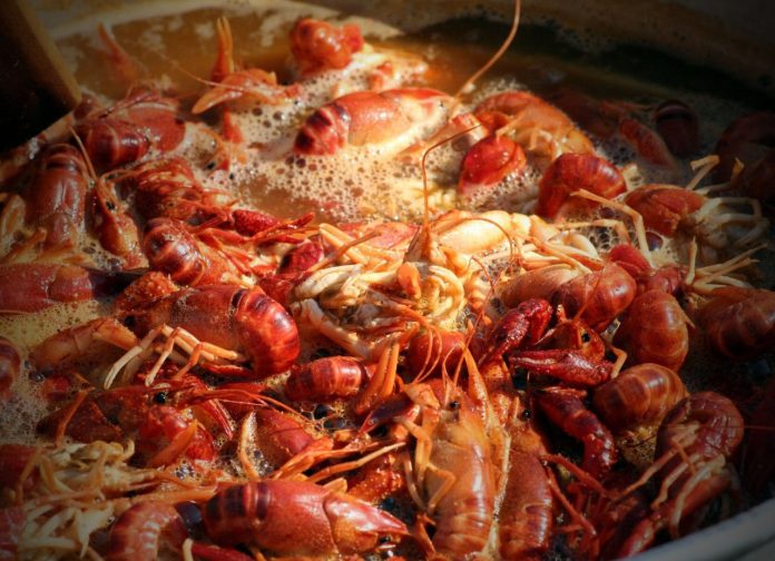 Spice Up Your Event with Expert Crawfish Boil Catering Services