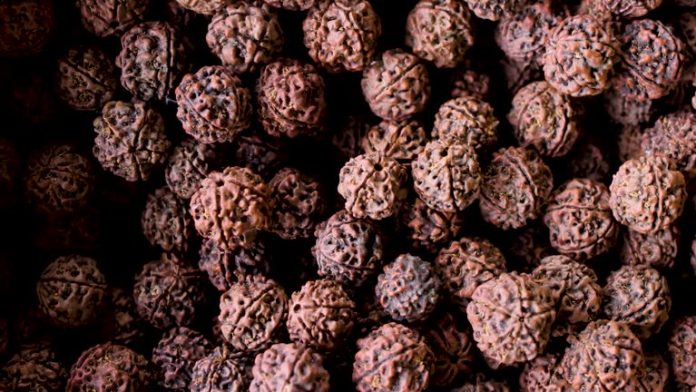 which day to wear 7 mukhi rudraksha