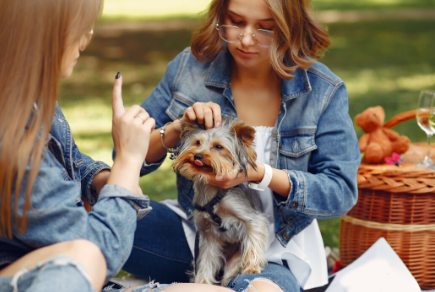 Tips for Caring for Your Pet