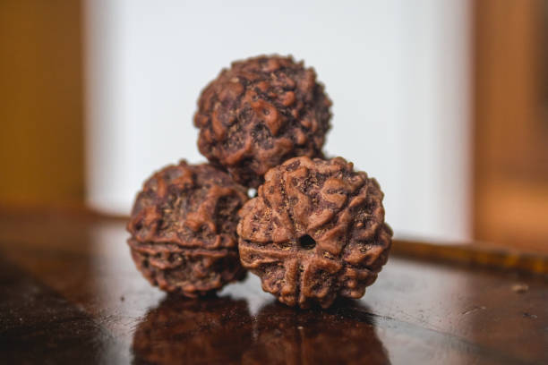 5 Mukhi Rudraksha Bannerghatta Road