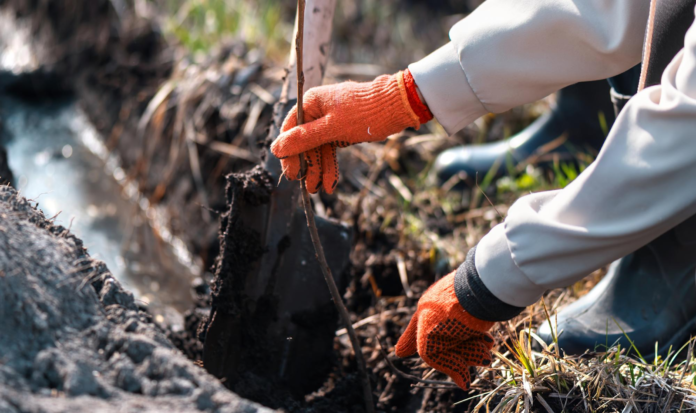 Drain Cleaning