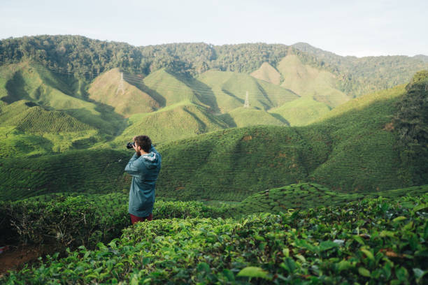 Cameron Highlands